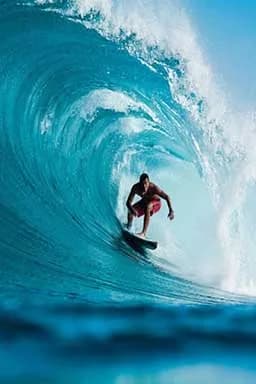 Surfers & Beach Enthusiasts