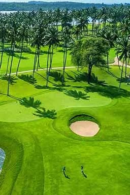 Golf Enthusiasts