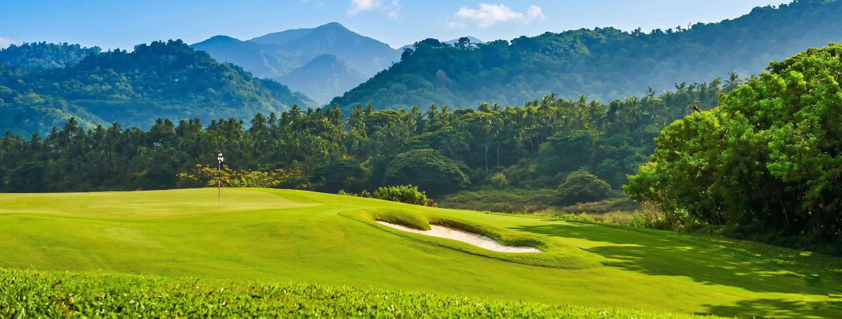 Golf Enthusiasts