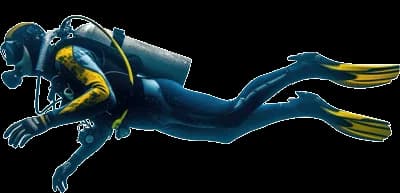 Diver