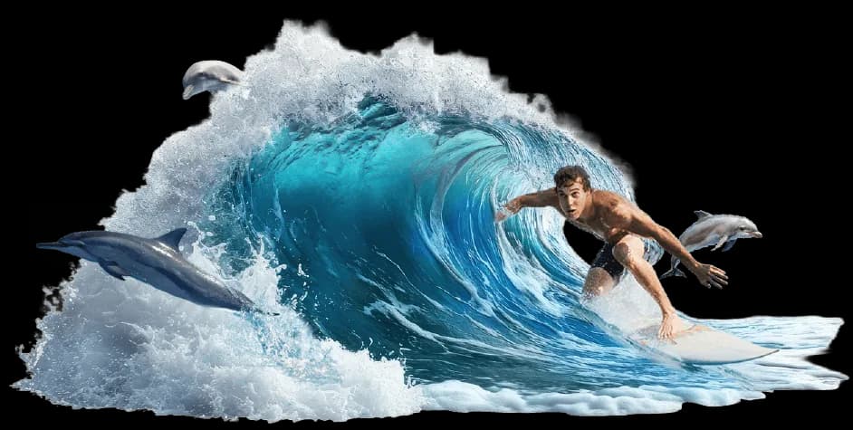 Sri Lanka experience wave surfer