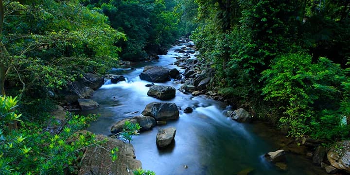 Day 01 | Arrival & Transfer to Kitulgala