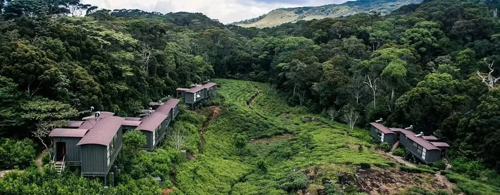 Day 04 | Journey to Sinharaja Rainforest