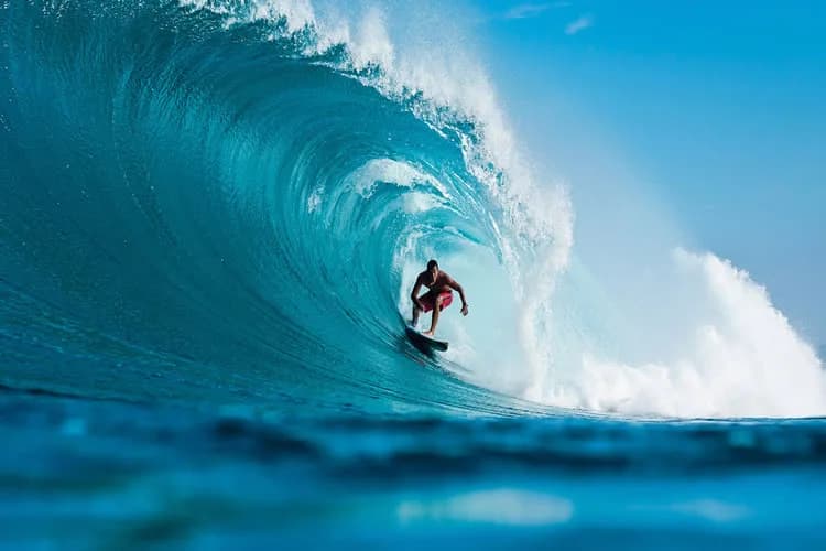 Surfers & Beach Enthusiasts