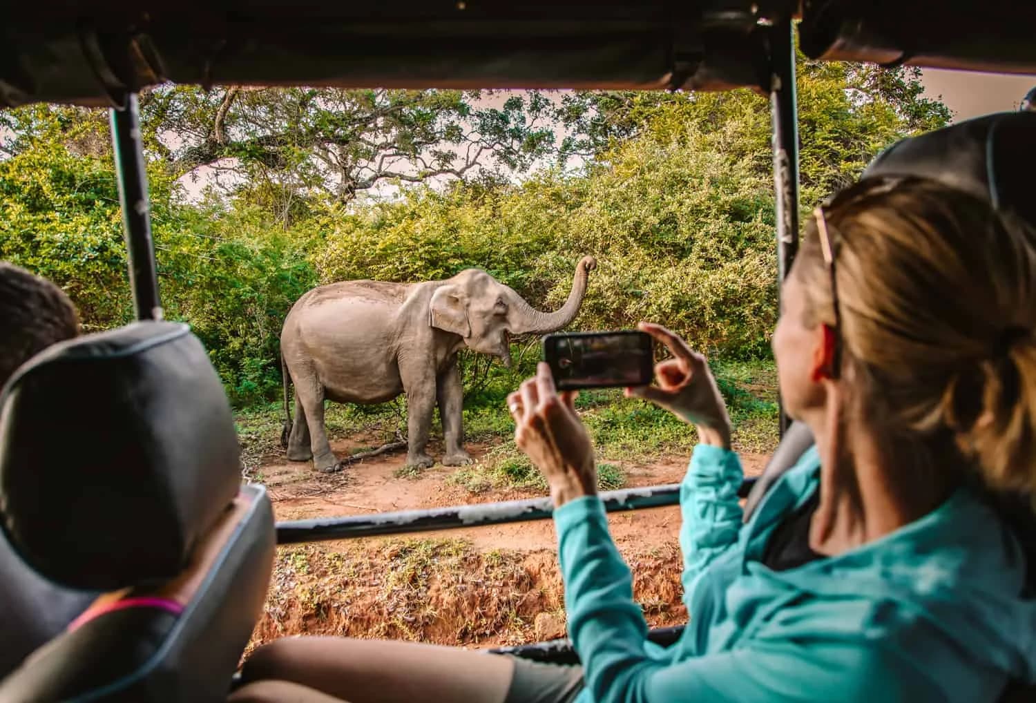 Day 09 | Full-Day Safari Experience